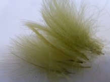 images/productimages/small/New amfishingtackle 6-7-15 014 [HDTV (1080)].JPG